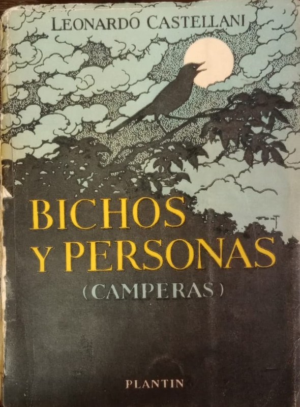 Bichos y personas: (Camperas)