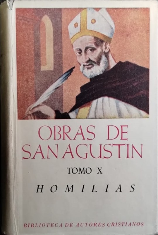 Obras de Dan Agustín: Tomo X Homilías