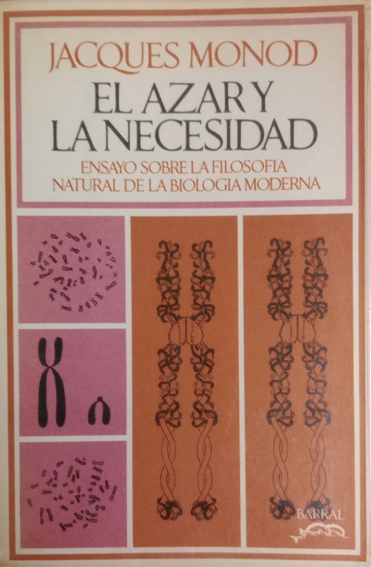 Las ideas filosóficas en Argentina: Etapas Históricas