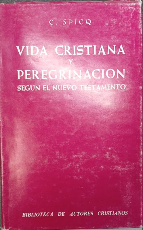 Vida cristiana y peregrinación: Según el Nuevo Testamento