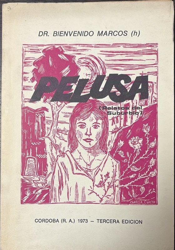 Pelusa: Relatos del suburbio