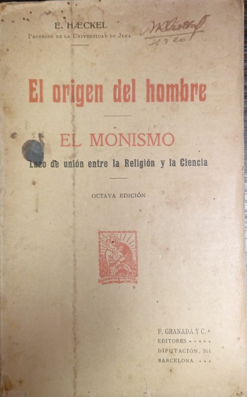 Brave historia de la filosofía