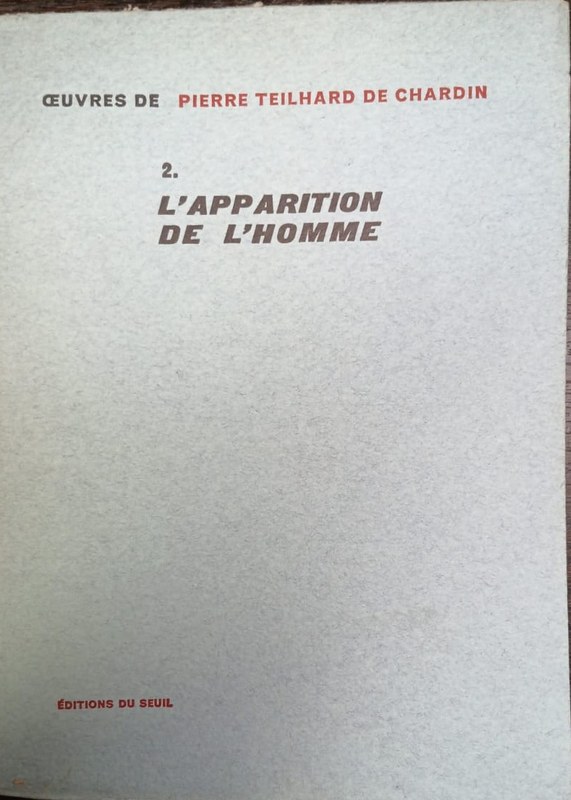 2- L´apparition de l´homme