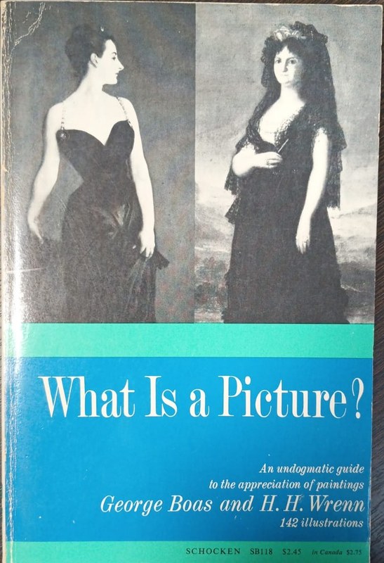 What is a picture?: An undogmatic guide to the appreciation of paintings