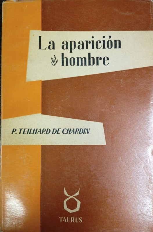 La aparición del hombre